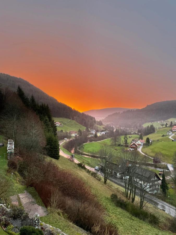 Altes Berghaus Apartment Obertal  Luaran gambar