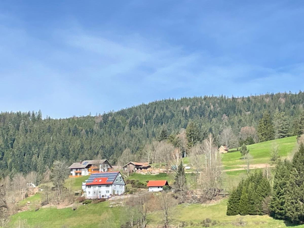 Altes Berghaus Apartment Obertal  Luaran gambar