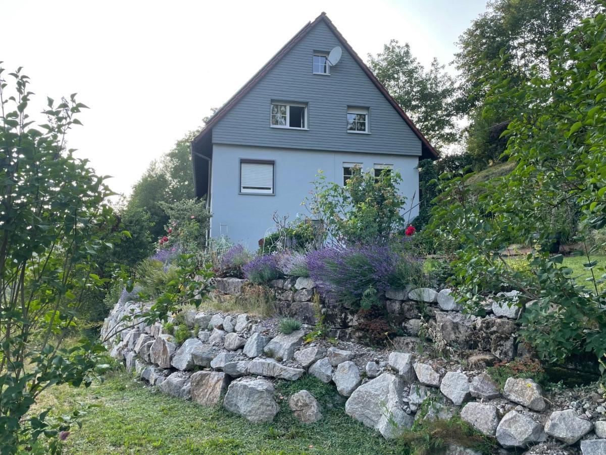 Altes Berghaus Apartment Obertal  Luaran gambar