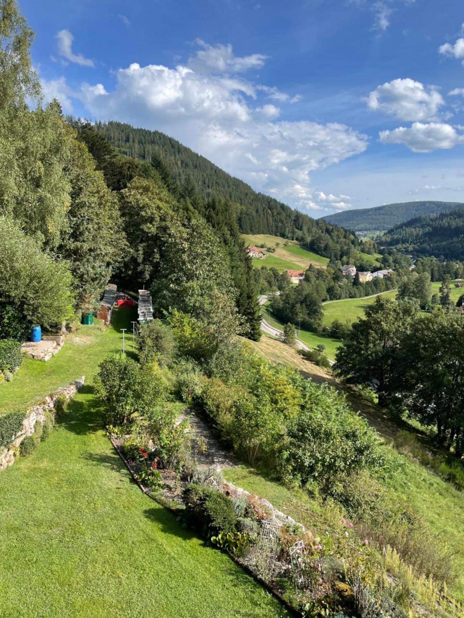 Altes Berghaus Apartment Obertal  Luaran gambar